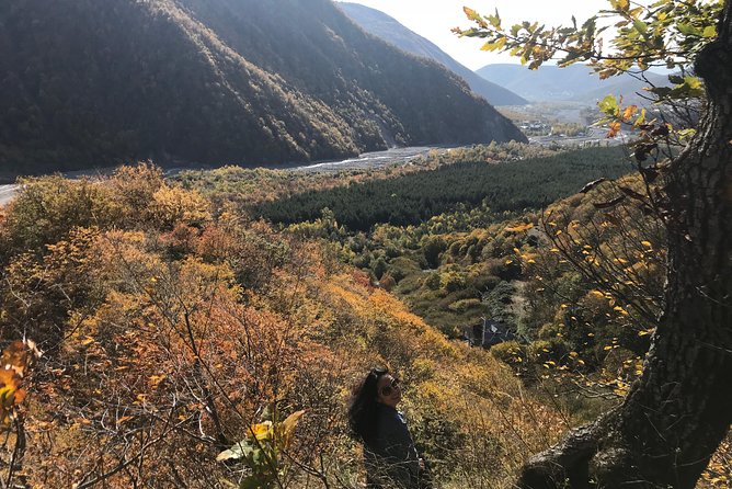 2-day Shamakhi-Gabala-Shaki Private Tour - Sheki’s caravanserais and the old trade roads