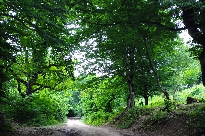 2 nights 3 days Gabala tour from Baku - Yeddi Gozel and the seven stair sections