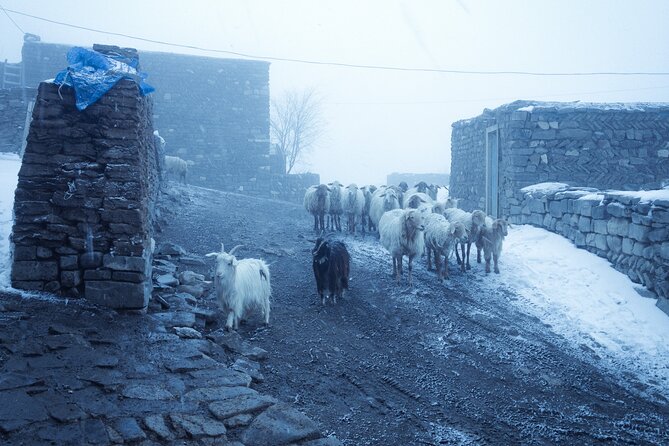 3-Day Hiking & Trekking Tour Remote Villages in Guba Azerbaijan - Day one: Grizdahna to Griz on the Eh Yolu