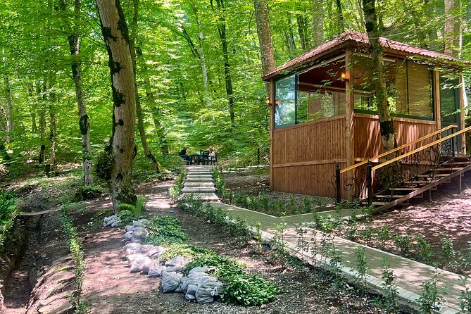 A Full Day Adventure: Khinalug, Guba & Candy Mountains Tour - Qechresh Forest and a practical refreshment stop