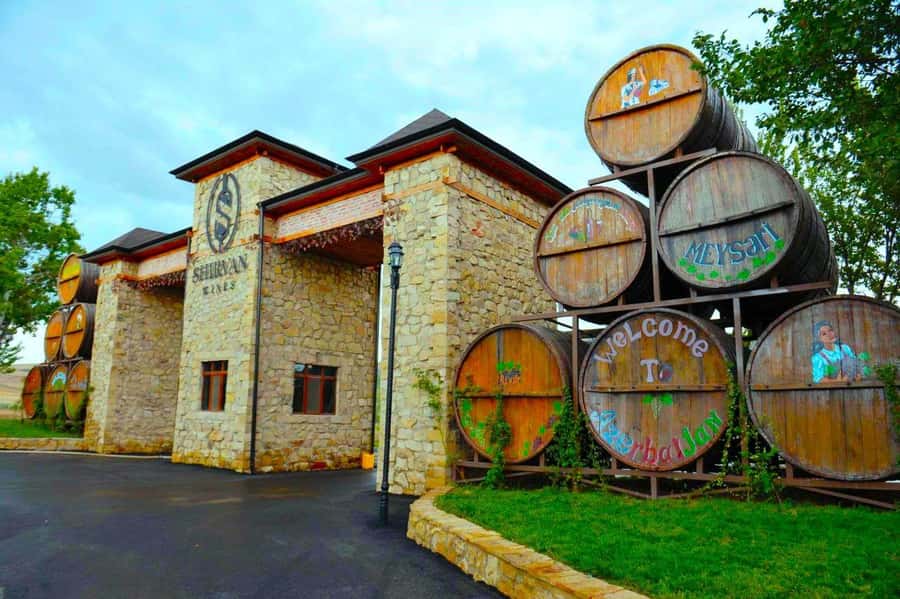 All-Inclusive Private Shamakhi Alpaca and Wine Experience - The return to central Baku
