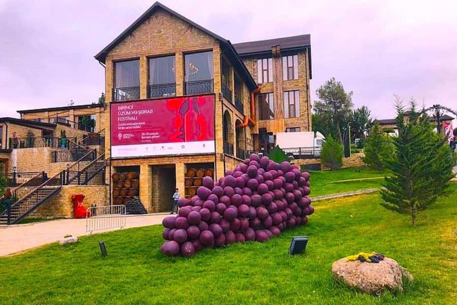 All-Inclusive Private Shamakhi Alpaca and Wine Experience - Should you book the Shamakhi alpaca and wine experience?