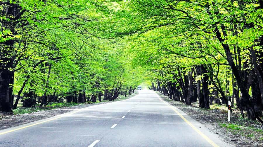 Baku: 2-Day Azerbaijan Tour with Option to Cross to Georgia - The pace, vehicle, and walking demands