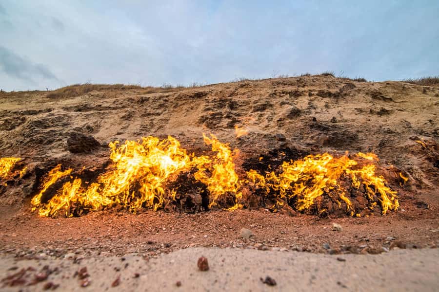 Baku: Gobustan, Mud Volcanoes & Absheron (Group or Private) - The guide can shape the whole day
