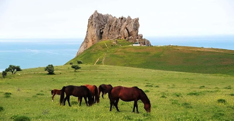 Baku:Guba,Shahdag and Candy Cane Mountain Lunch included - Three very different stops in one northern Azerbaijan day