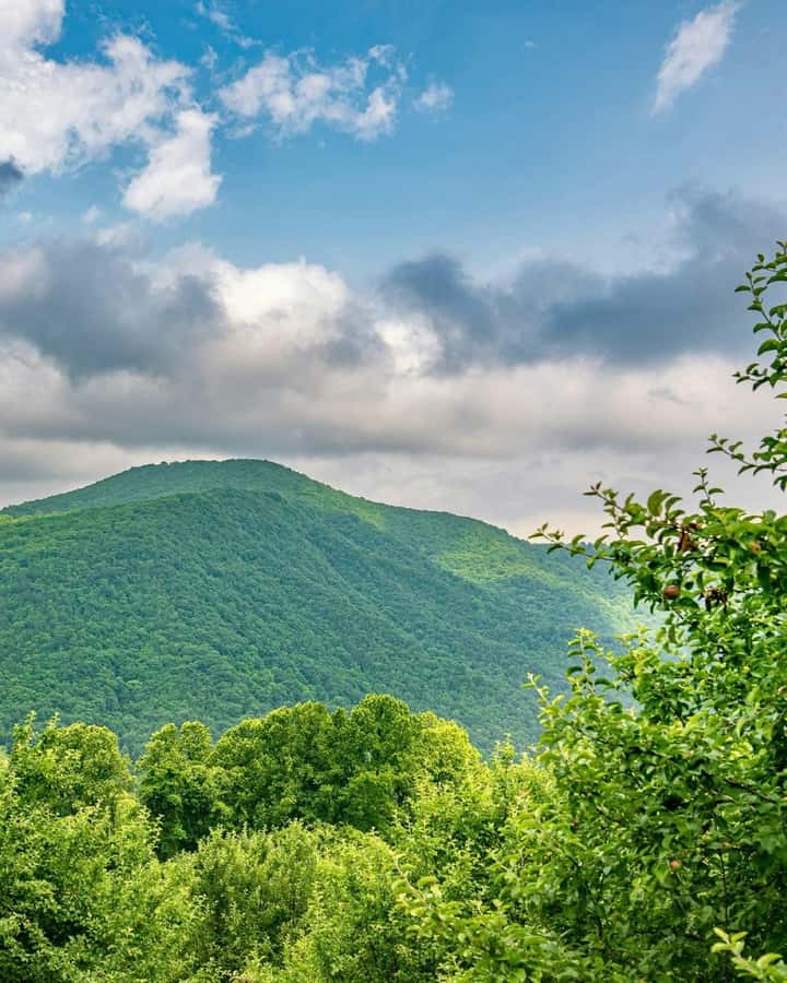 Baku: Guba-Shahdag Resort-Candy Mountain and Laza Waterfall - Who should book this trip?