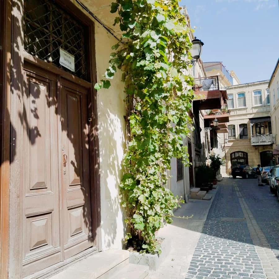 Baku: Inner City Walking Tour. - Key points at a glance