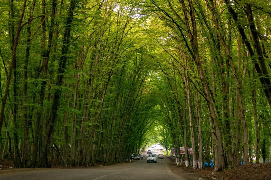Baku: Khizi-Shahdag Tour with Resort Visit - Walking the striped Khizi Mountains