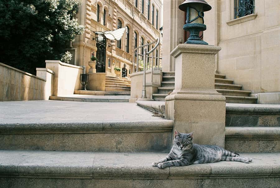 Baku Old City Wonders: A Walking Tour Through Time - Maiden Tower, Baku’s Great Question Mark