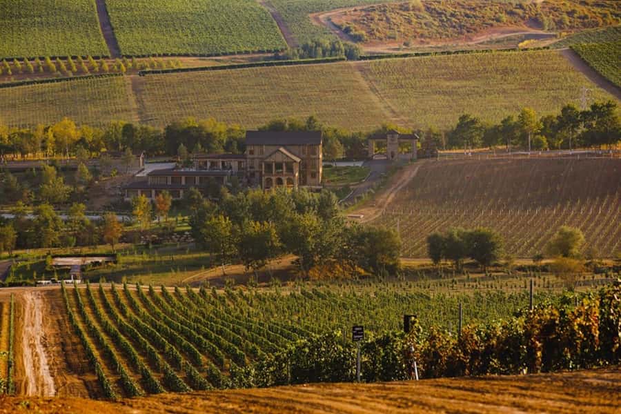 Baku: Organic Winery Tour in Shamakhi with Local Lunch - Key points to know before booking