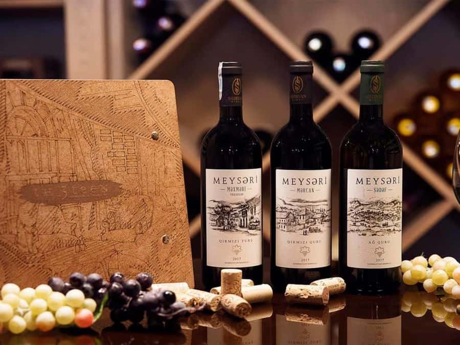 Baku: Organic Winery Tour in Shamakhi with Local Lunch - Tasting Shirvan wines with local snacks