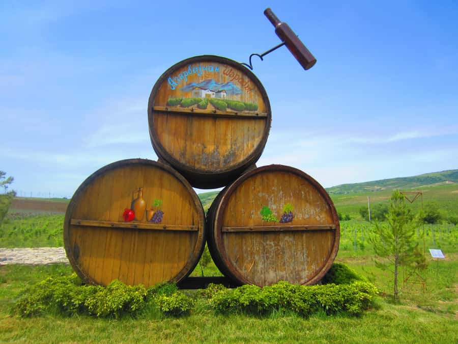 Baku: Organic Winery Tour in Shamakhi with Local Lunch - Who will enjoy this private wine day?