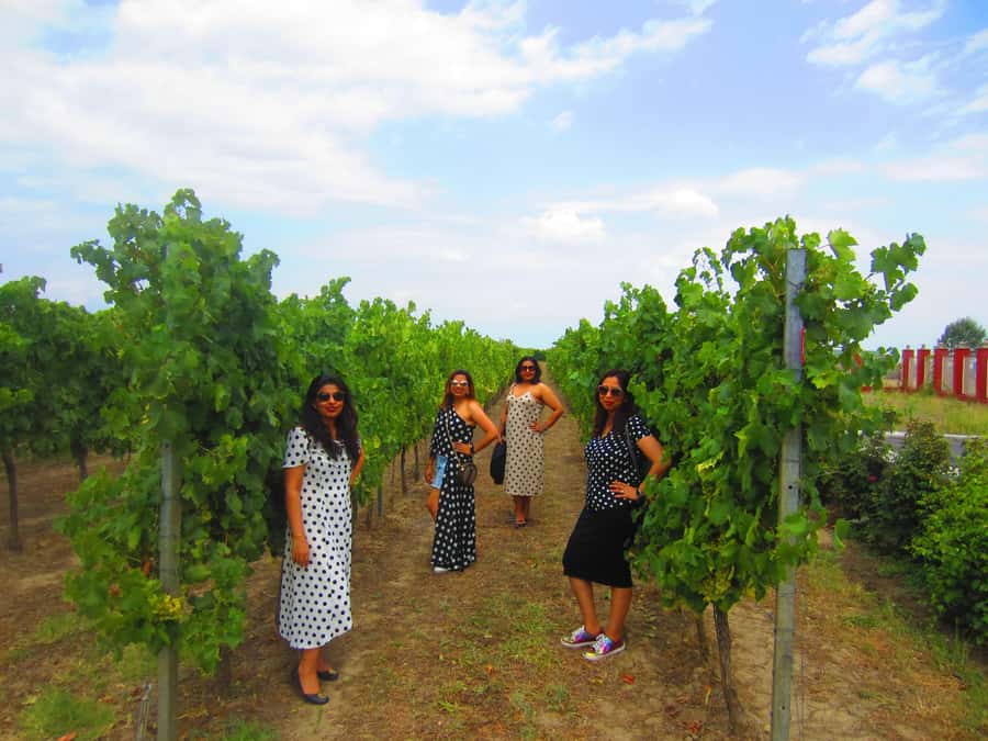 Baku: Qabala Winery Tour with Local Lunch - Returning to Baku after a full day