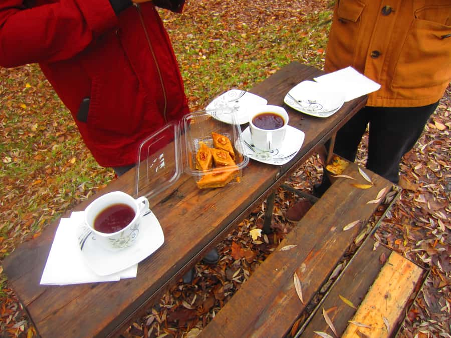 Baku: Qabala Winery Tour with Local Lunch - What the $282 price really covers