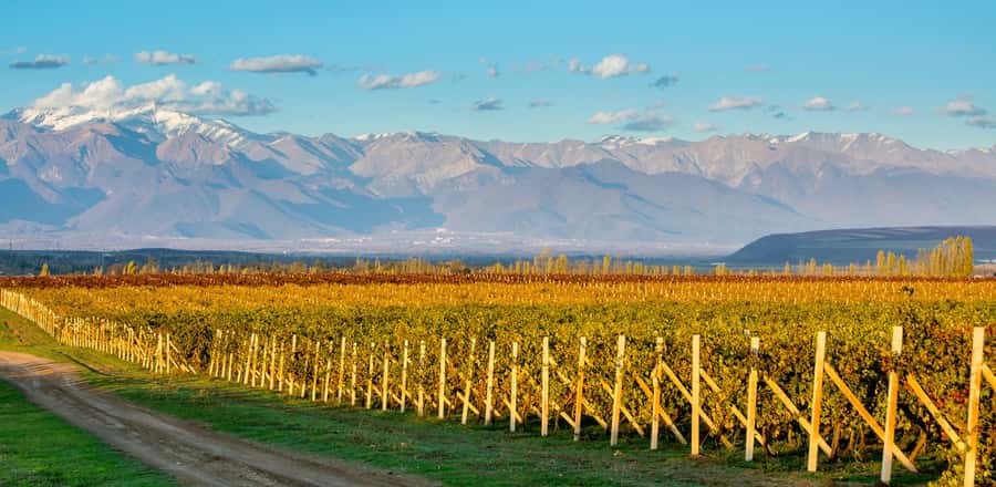 Baku: Qabala Winery Tour with Local Lunch - Local food stops before the winery