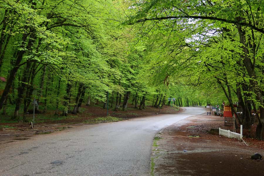 Baku: Quba Khinaliq Group Tour, Free Gobustan Absheron Tour - Who will enjoy this tour most
