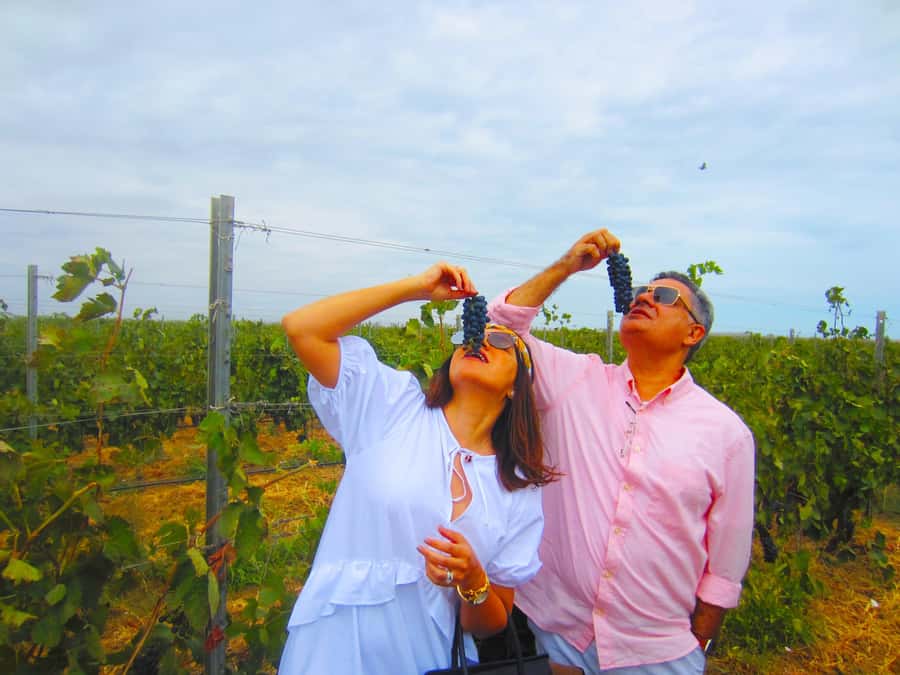 Baku: Shooting and Wine Combination Tour - Is $353 per person fair value?