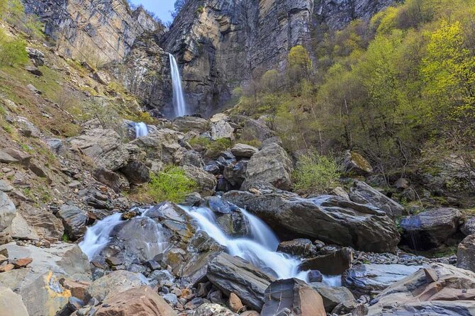 Baku to Quba tour - 1 nights and 2 days green nature tour - Qechresh forest, a short green pause