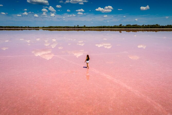 Candy Mountains, Pink Lake, Altiaghaj Forest, Bibiheybat Mosque - What this 8-hour Baku day trip is really like