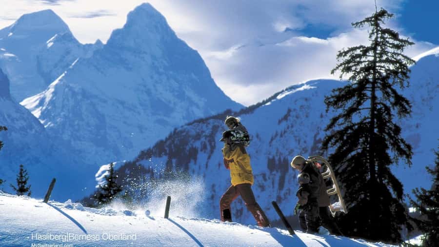 CandyCane Mountains and Shahdag tour - Key points to know before booking
