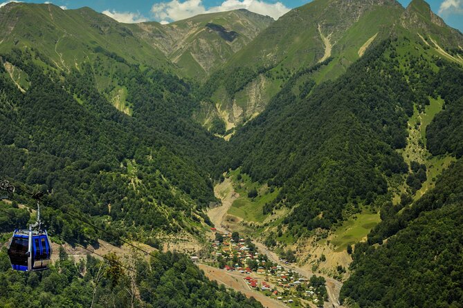 Caucasian Dream: From Gabala to Sheki (Private tour) - Ismayilli’s forest stop