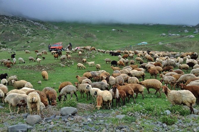 Day Trip to Khinalug, Guba - The long mountain road to Khinalug
