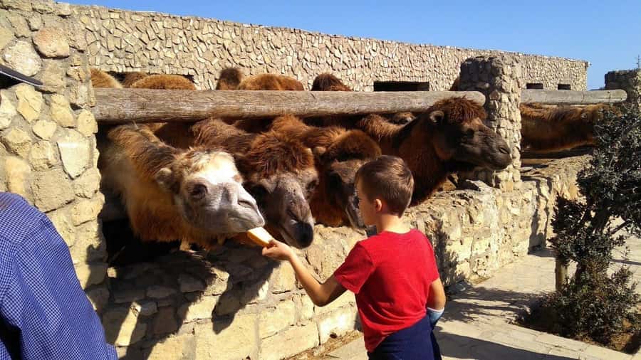 From Baku: Absheron National Park & Pirallahi Island Tour - Crossing Damba Bridge to Pirallahi Island