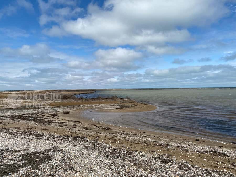 From Baku: Absheron National Park & Pirallahi Island Tour - Zira Ecopark and the carpet collection