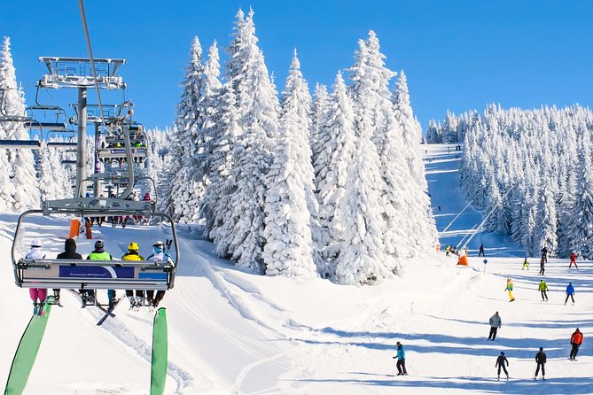 From Baku: Gabala Day Trip - Gabala Sport Club: a different kind of sightseeing