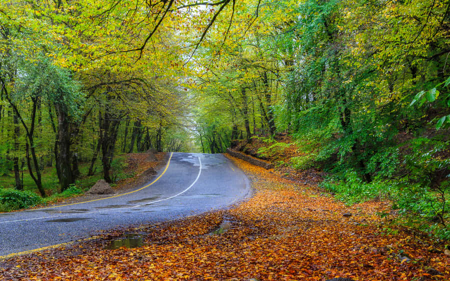 From Baku: Guba-Khinalig Day Trip - Five Finger Mountain makes a strong opening