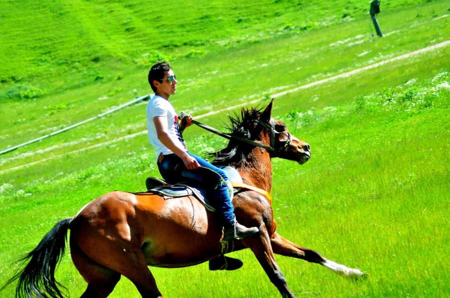 From Baku: Shahdag Mountain Resort Day Trip - Guides, drivers, and the human side of the trip