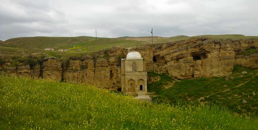 From Baku: Shamakhi City and Alpaca Farm Tour - What the guides add to the day