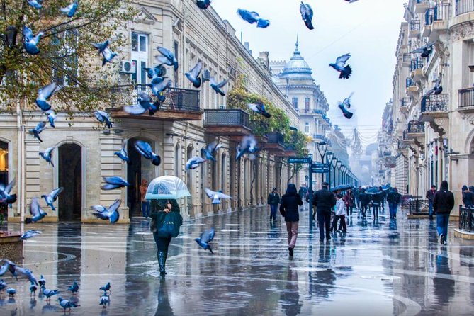 Full-day Private Baku City Tour - Why this private Baku tour works well in one day