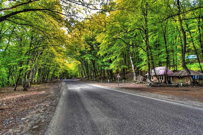 Full-Day Private Tour of Guba and Khinalig - Qechresh forest makes a good first pause