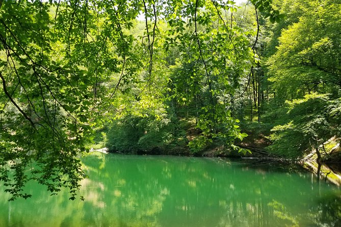 Garanohur Lake Hiking Tour - What the forest setting adds to the hike