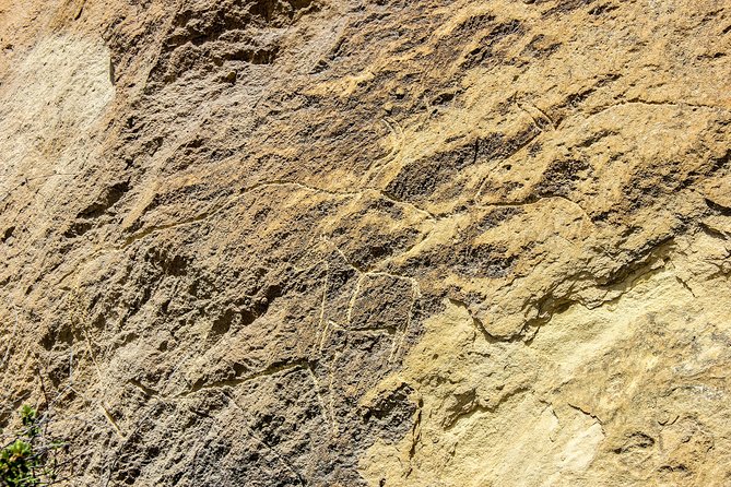 Gobustan and Mud volcanoe GROUP TOUR - What makes the mud volcanoes so unusual