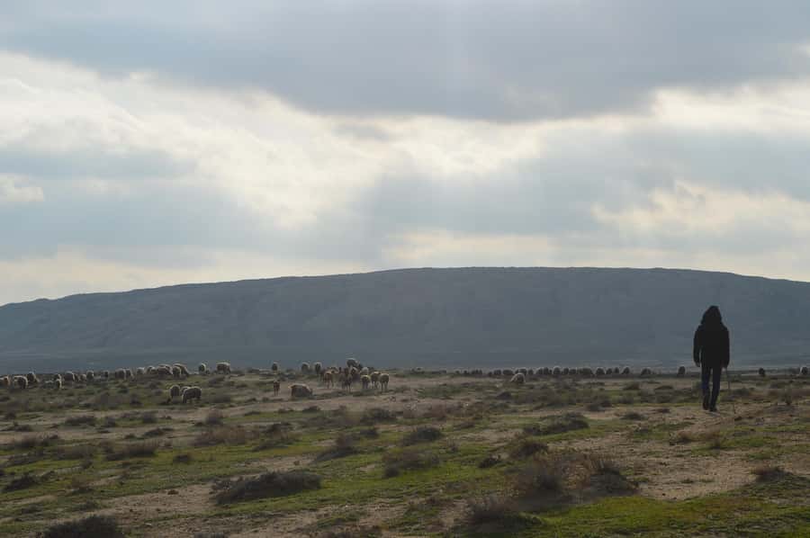 Gobustan, Mud Volcano, Burning Land and Fire Temple Tour - Key points at a glance