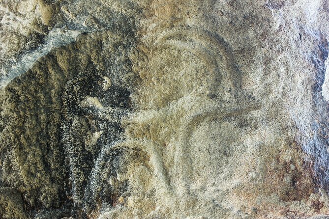 Gobustan, Mud volcanoes, Fire temple, Fire mountain PRIVATE TOUR - Is $79 per person good value?