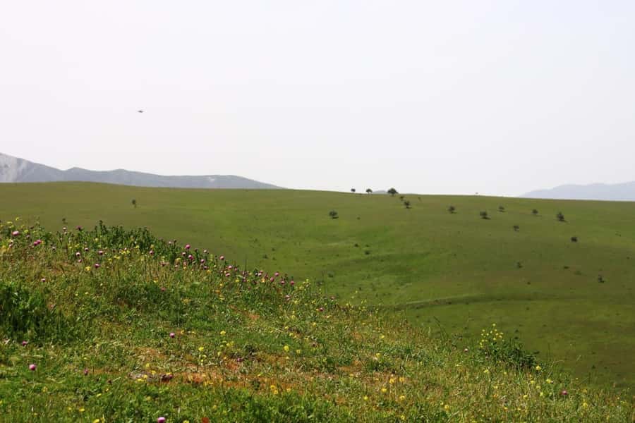 Half Day Candy Cane Mountains and Beshbarmag Private Tour - The 50-minute ride to Khizi