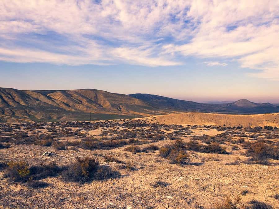 Half-Day Private Gobustan Rock Art and Mud Volcanoes Tour - Transport, timing, and what the $59 price covers