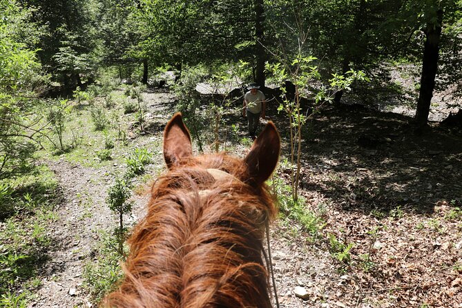 Horseback Riding in Azerbaijan - Who should book this ride?