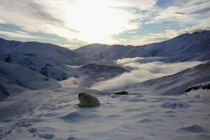 Khinalig tour - the highness mountain village of Azerbaijan - The long approach to Khinalig