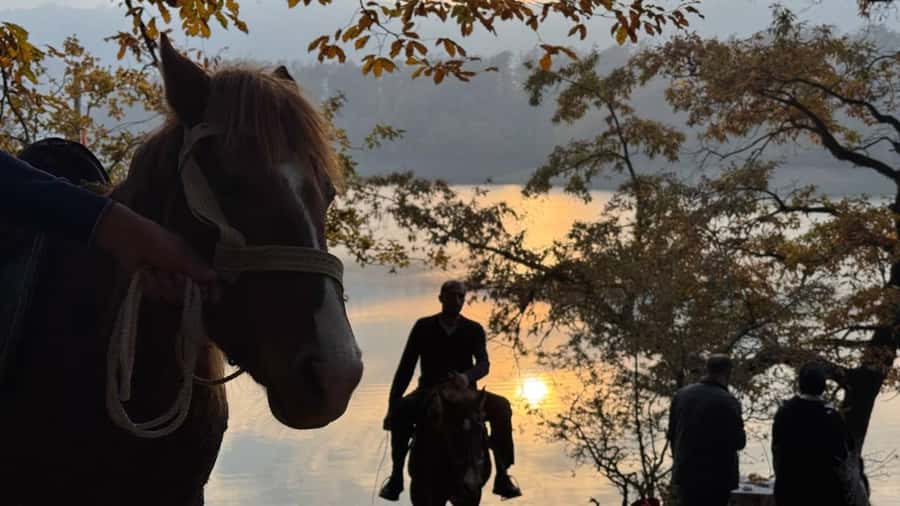 Longevity Secrets of Azerbaijan: Lankaran & Astara tour - Why Lankaran makes a good change from Baku