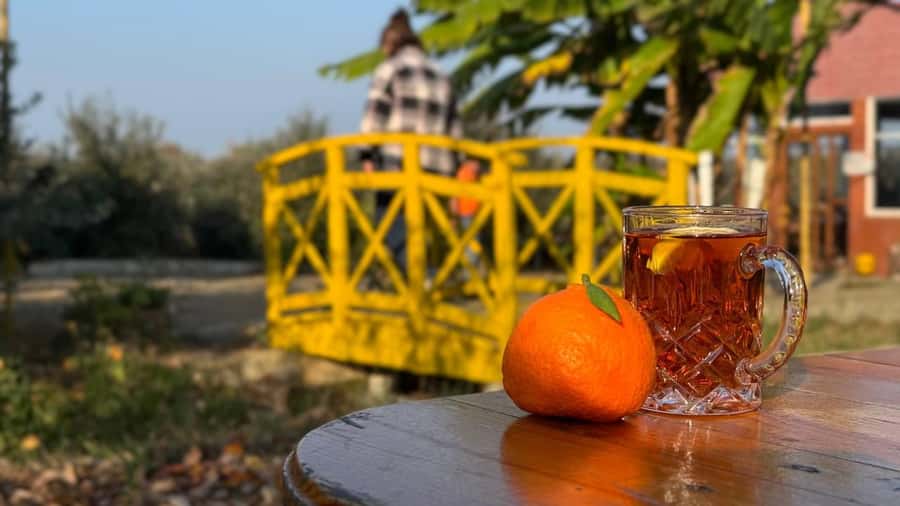 Longevity Secrets of Azerbaijan: Lankaran & Astara tour - A short pause at Nilado Green Hotel