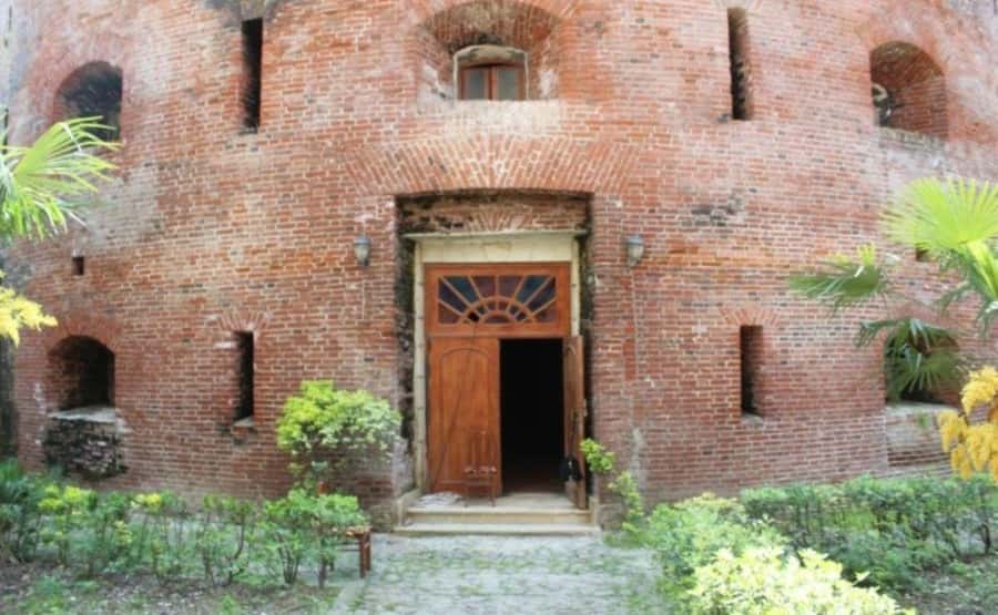 Longevity Secrets of Azerbaijan: Lankaran & Astara tour - Tea, mulberry jam, and the local idea of longevity