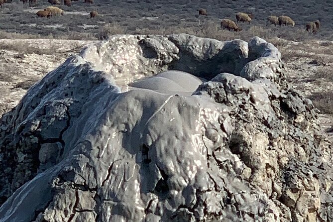 Mud Volcanoes & Gobustan Private Tour - Is $108 per person a fair price?