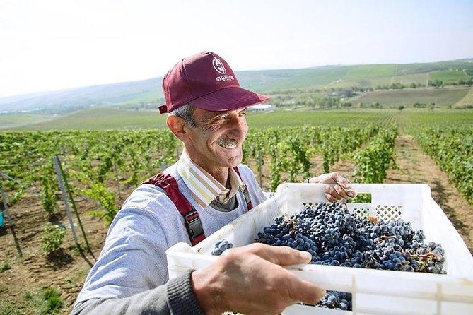 Organic Wine Tour Shamakhi with Local Lunch - Lunch with a local family in Meysari village