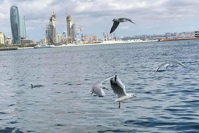 Private Baku City Tour - A five-hour introduction to Baku