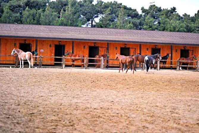Private Full-Day Baku Adventure Tour - Elite Horse Club: two hours in Bina