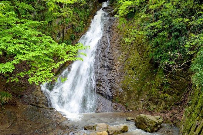 Private Gabala Tour - Why this Gabala day trip works